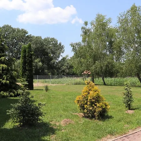 Liget Apartman Kehidakustány